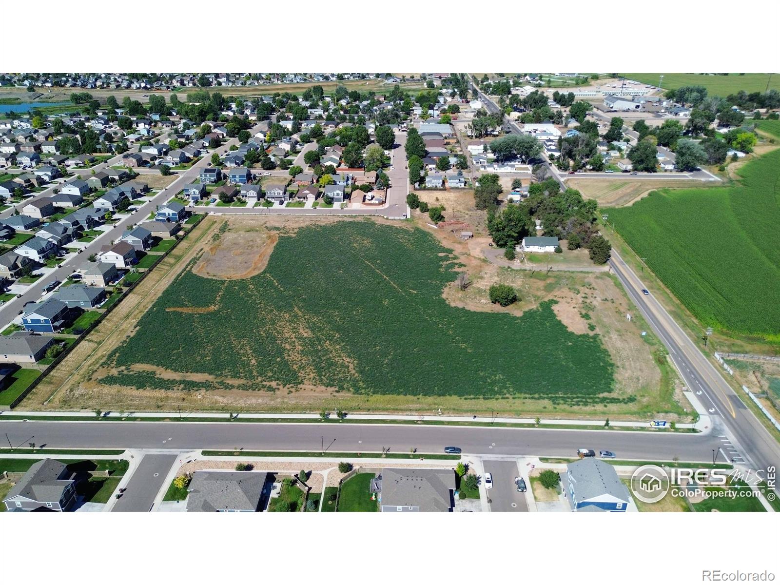 4TH Avenue Severance CO 80550