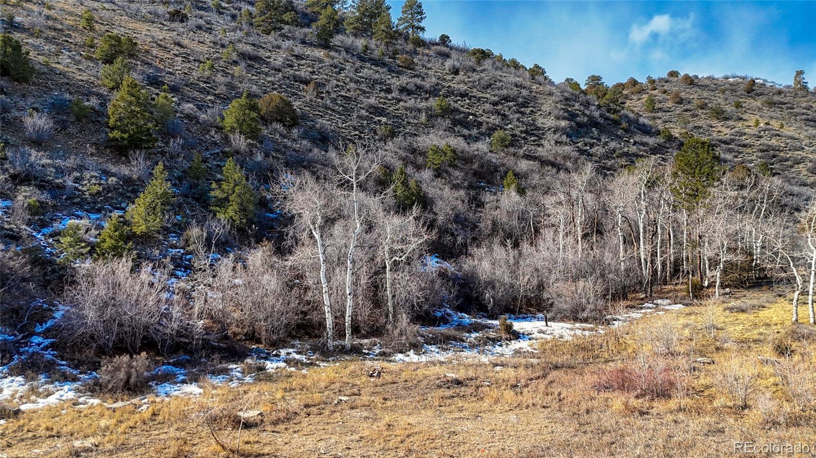 16955 Little River Lane Salida CO 81201