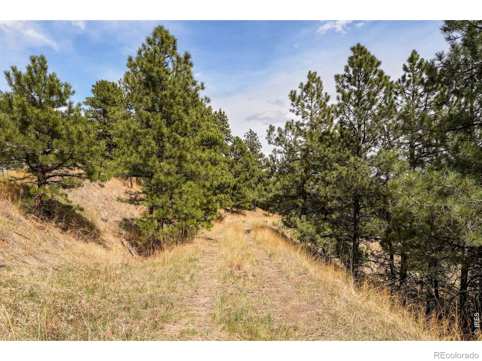 61 Wild Horse Circle Boulder CO 80304