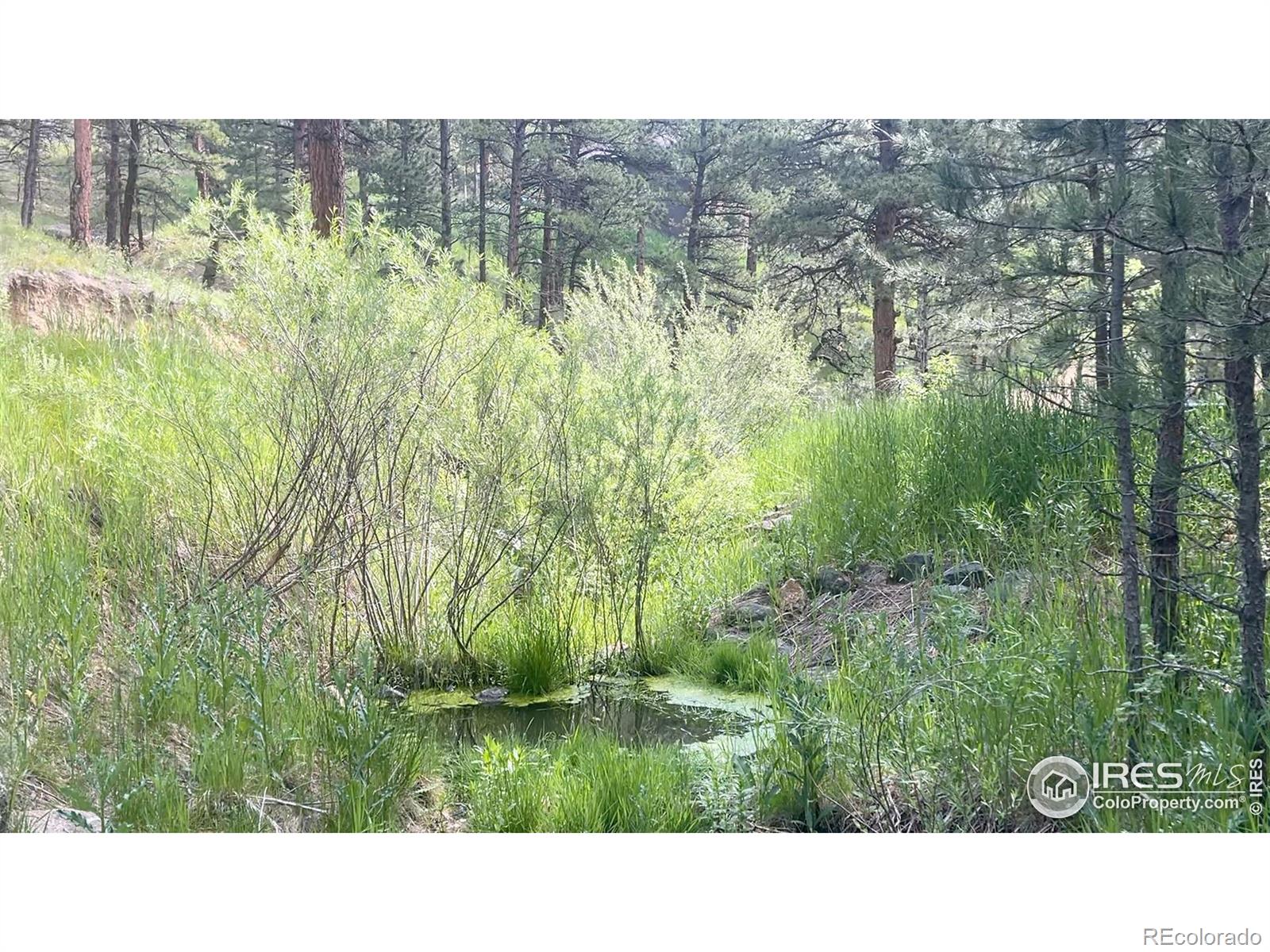 375 Arroyo Chico Boulder CO 80302