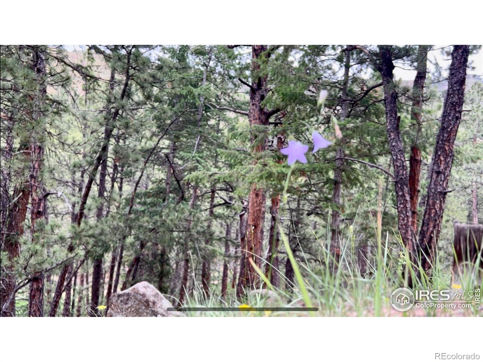 375 Arroyo Chico Boulder CO 80302