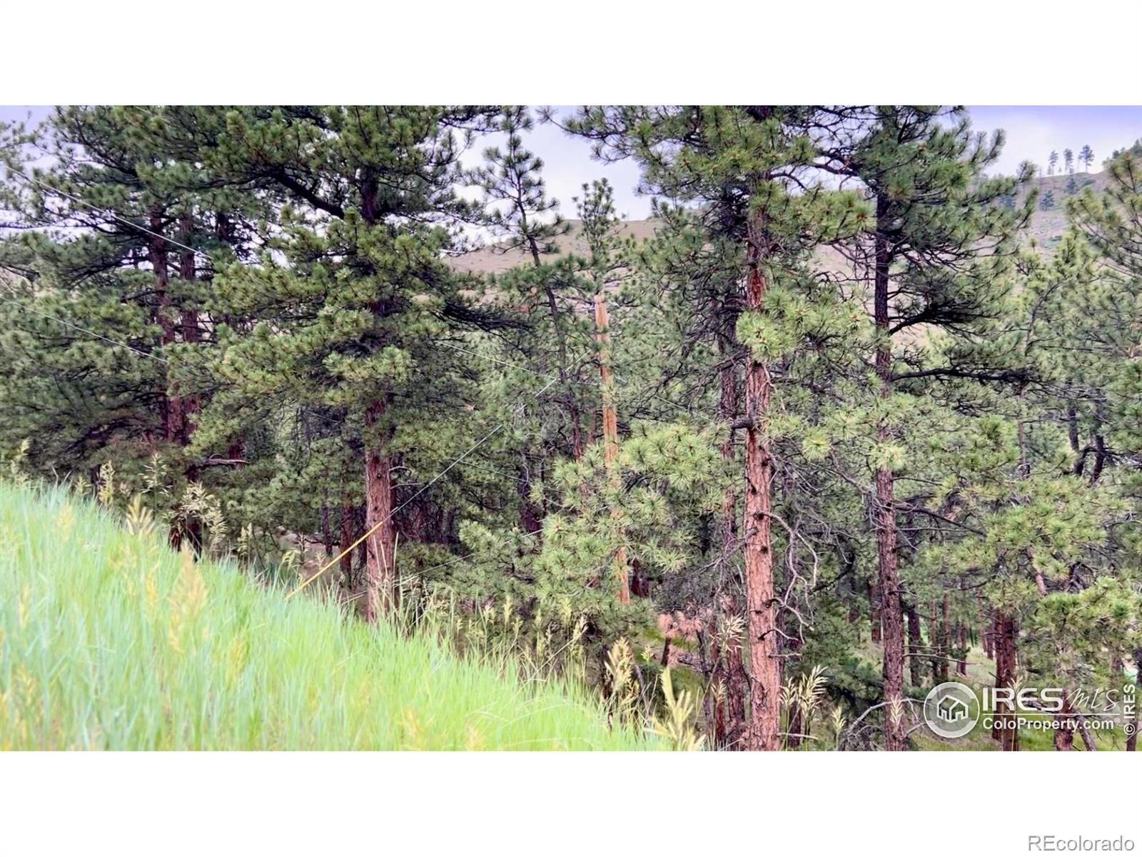 375 Arroyo Chico Boulder CO 80302
