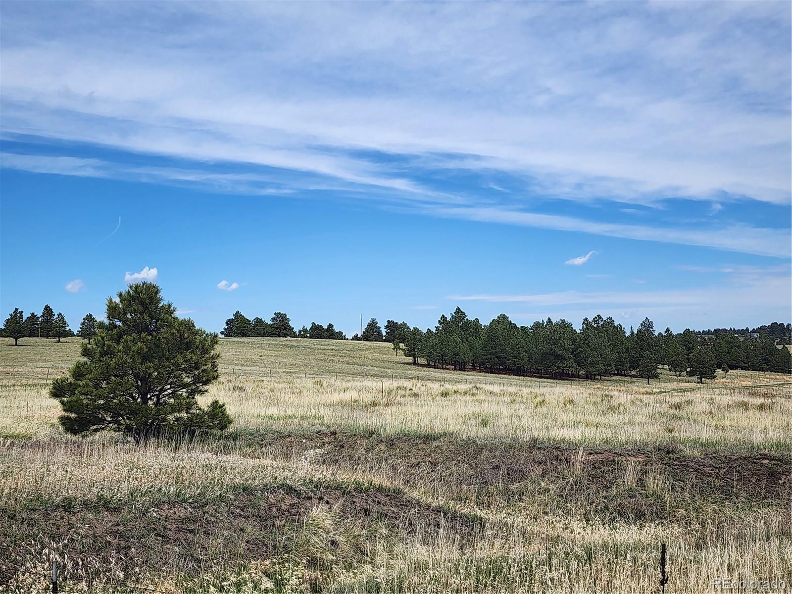 13753 Hawkeye Road Kiowa CO 80117