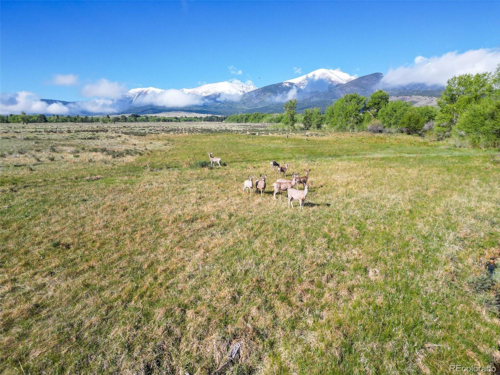 3870 County Road 125 Westcliffe CO 81252