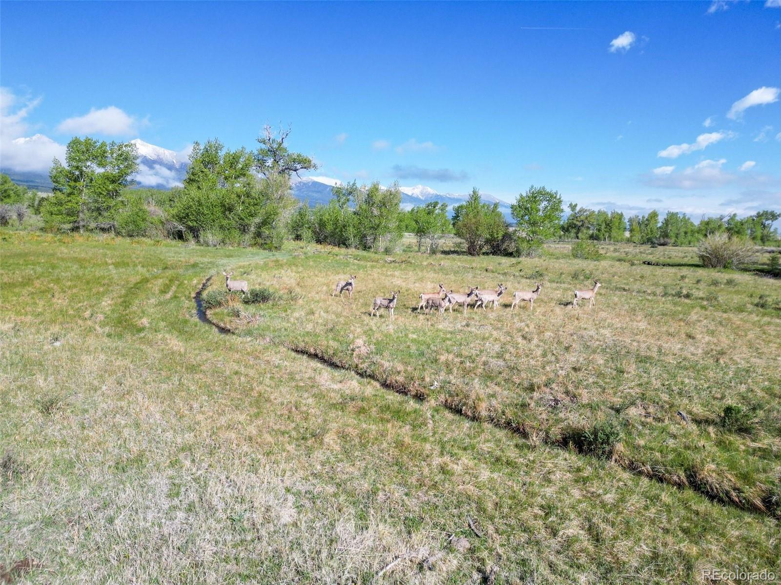 3870 County Road 125 Westcliffe CO 81252