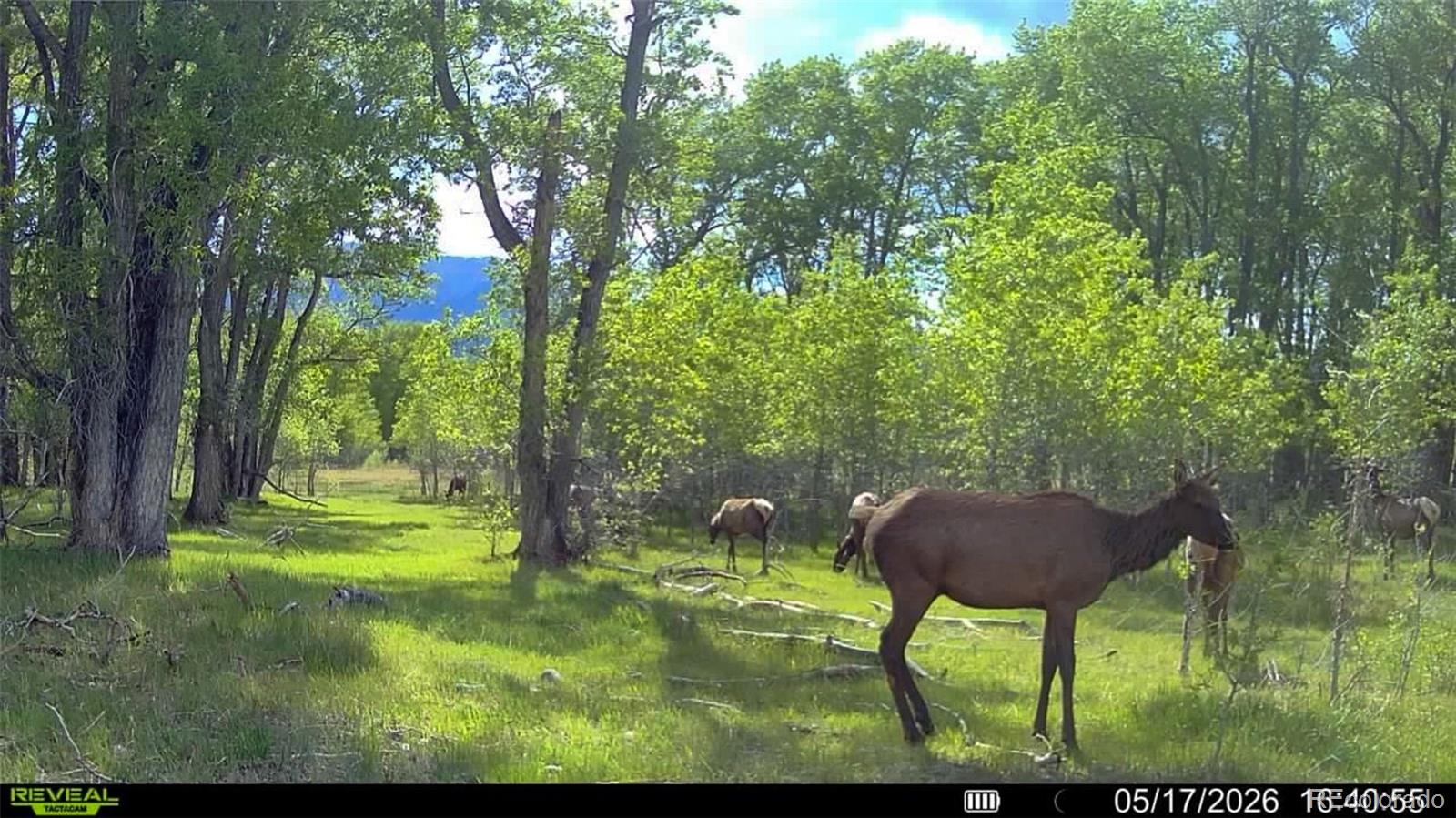3870 County Road 125 Westcliffe CO 81252