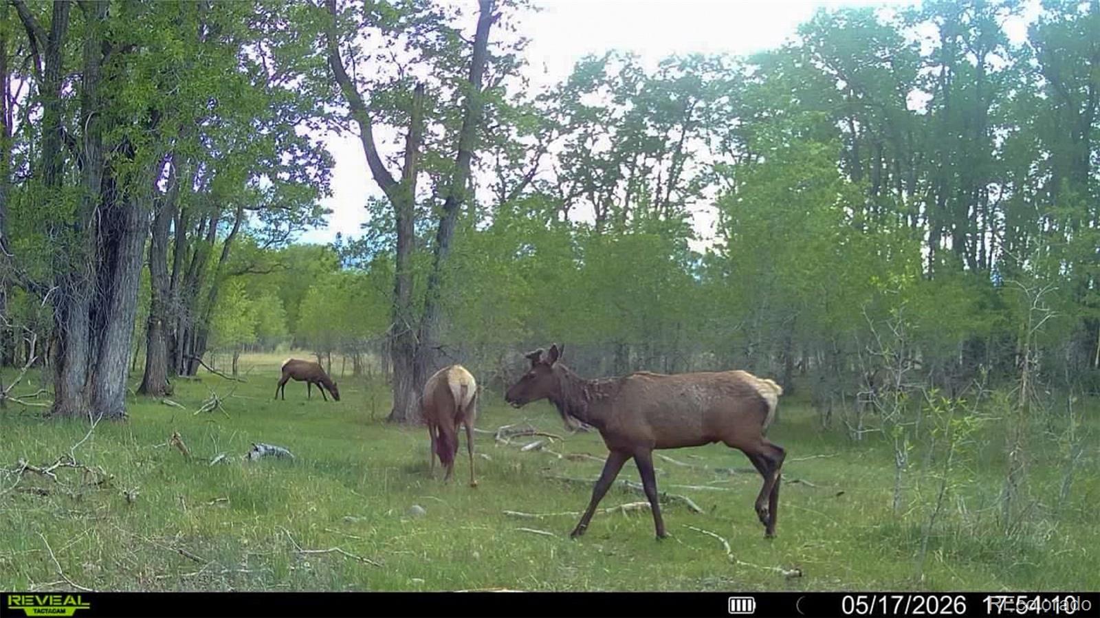 3870 County Road 125 Westcliffe CO 81252