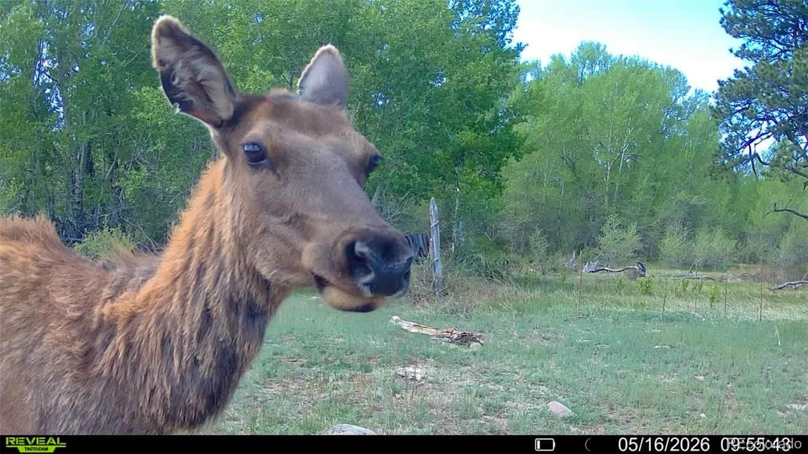 3870 County Road 125 Westcliffe CO 81252