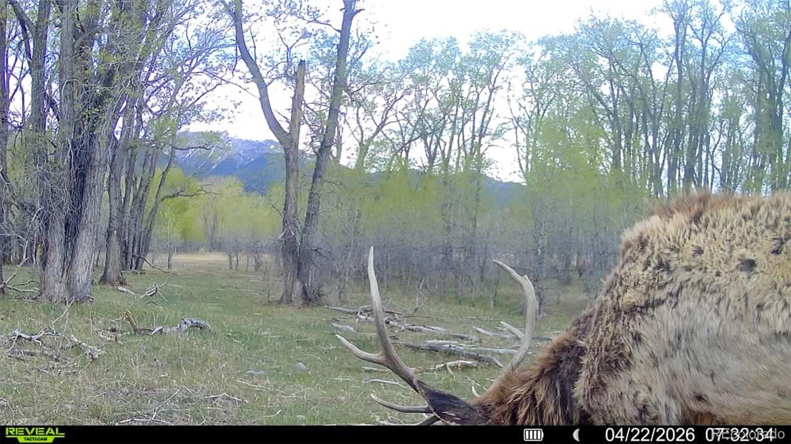 3870 County Road 125 Westcliffe CO 81252