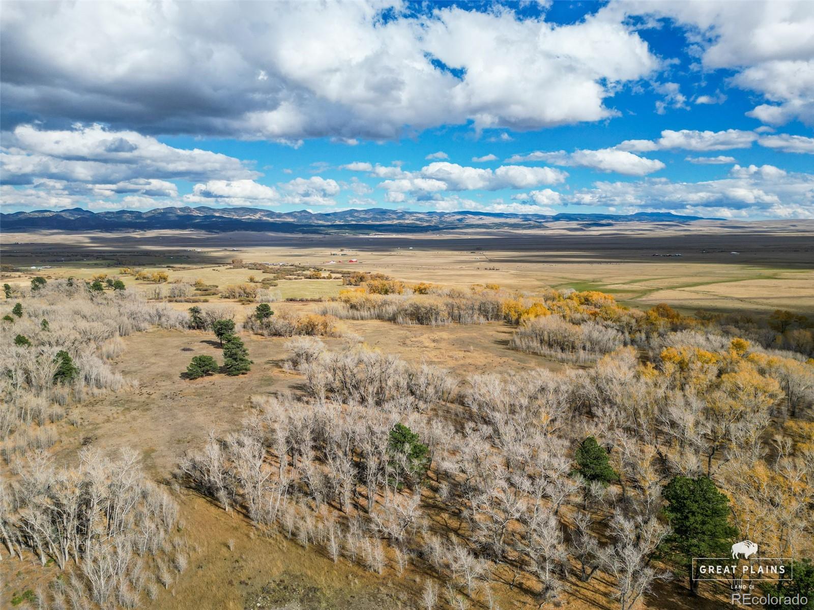 3870 County Road 125 Westcliffe CO 81252