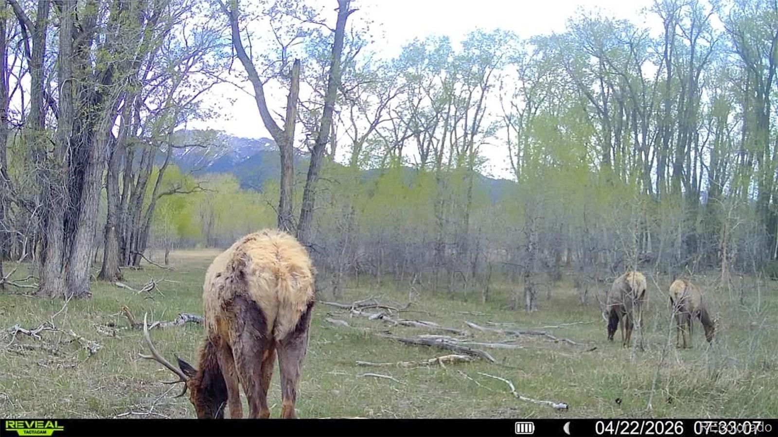 3870 County Road 125 Westcliffe CO 81252