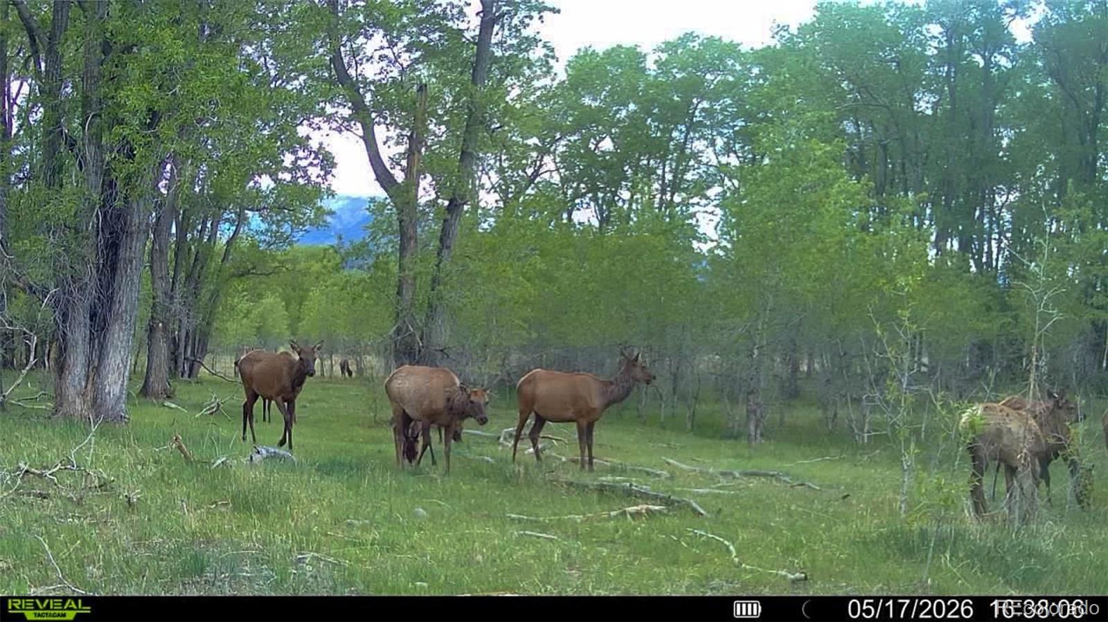 3870 County Road 125 Westcliffe CO 81252