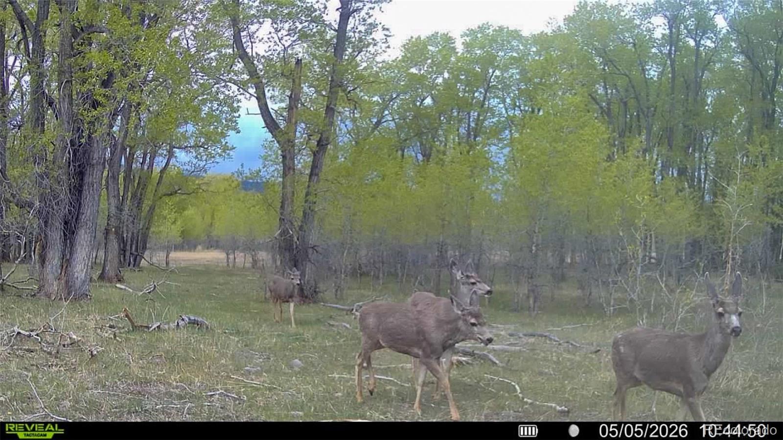 3870 County Road 125 Westcliffe CO 81252