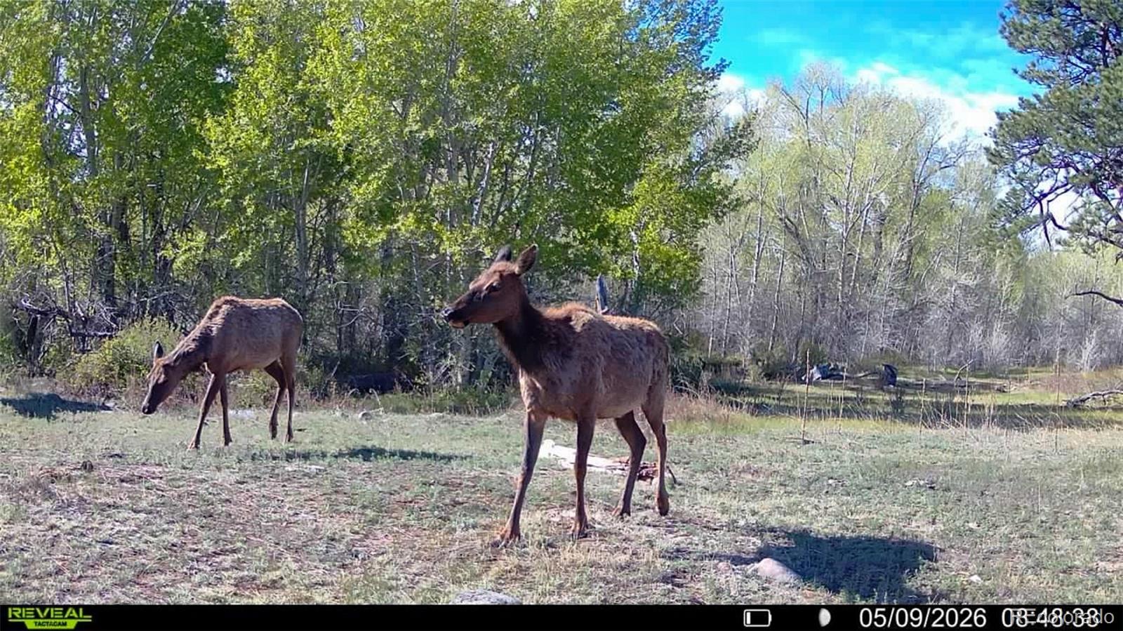 3870 County Road 125 Westcliffe CO 81252