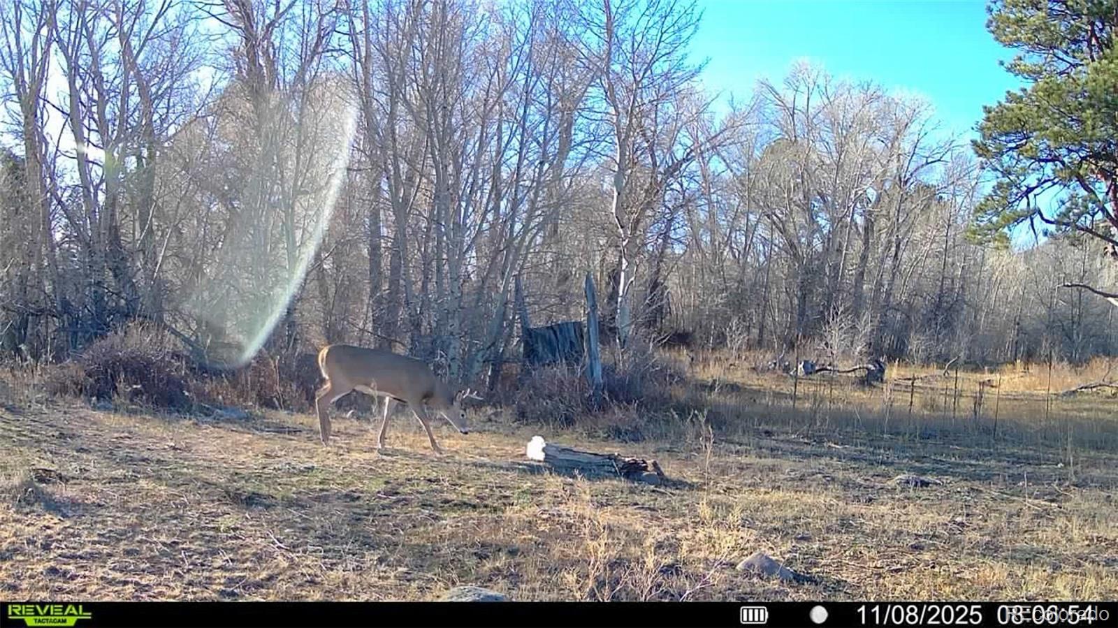 3870 County Road 125 Westcliffe CO 81252