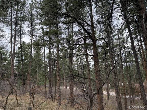 4885 Red Rock Drive Larkspur CO 80118