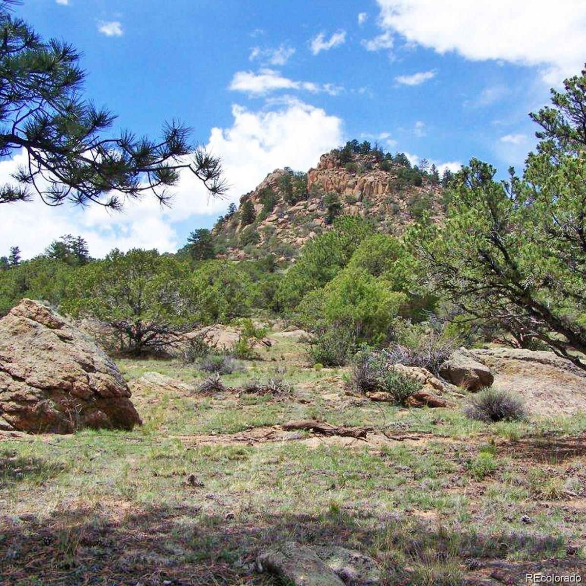 Lot 8 Big Sandy Estaes Buena Vista CO 81211