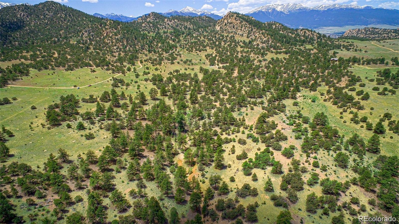 Lot 8 Big Sandy Estaes Buena Vista CO 81211