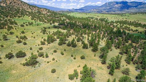 Lot 8 Big Sandy Estaes Buena Vista CO 81211