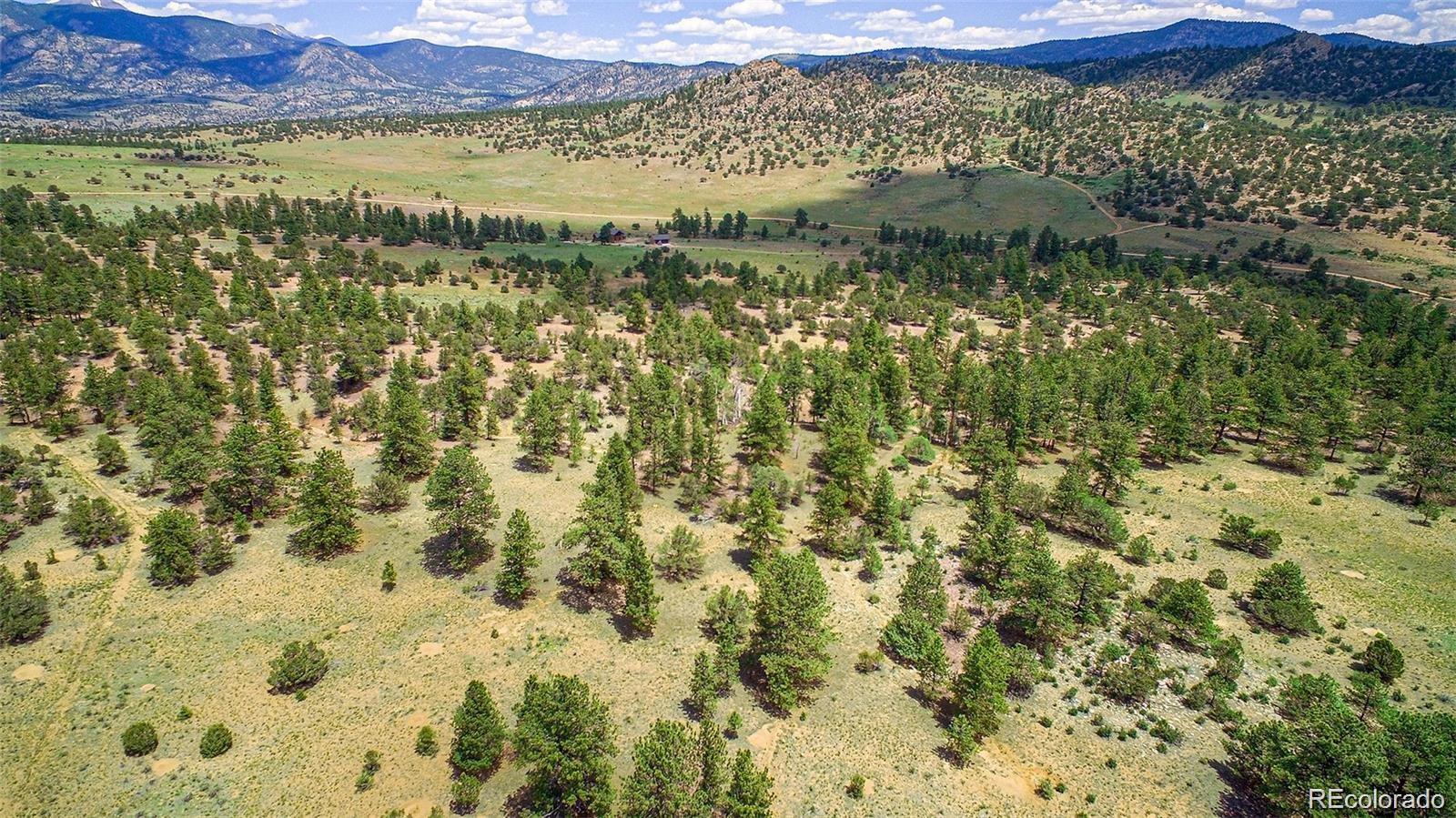 Lot 8 Big Sandy Estaes Buena Vista CO 81211