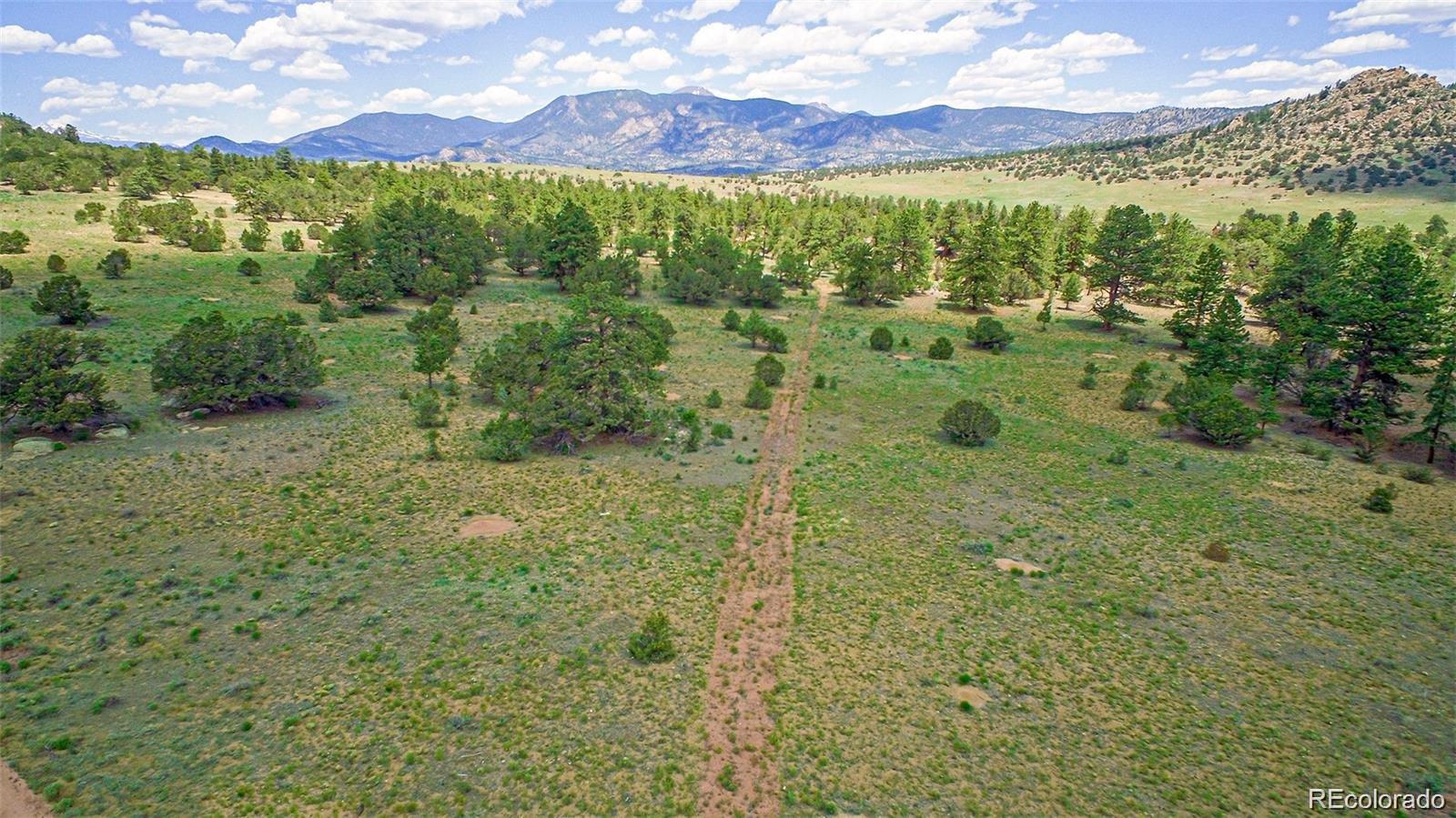 Lot 8 Big Sandy Estaes Buena Vista CO 81211