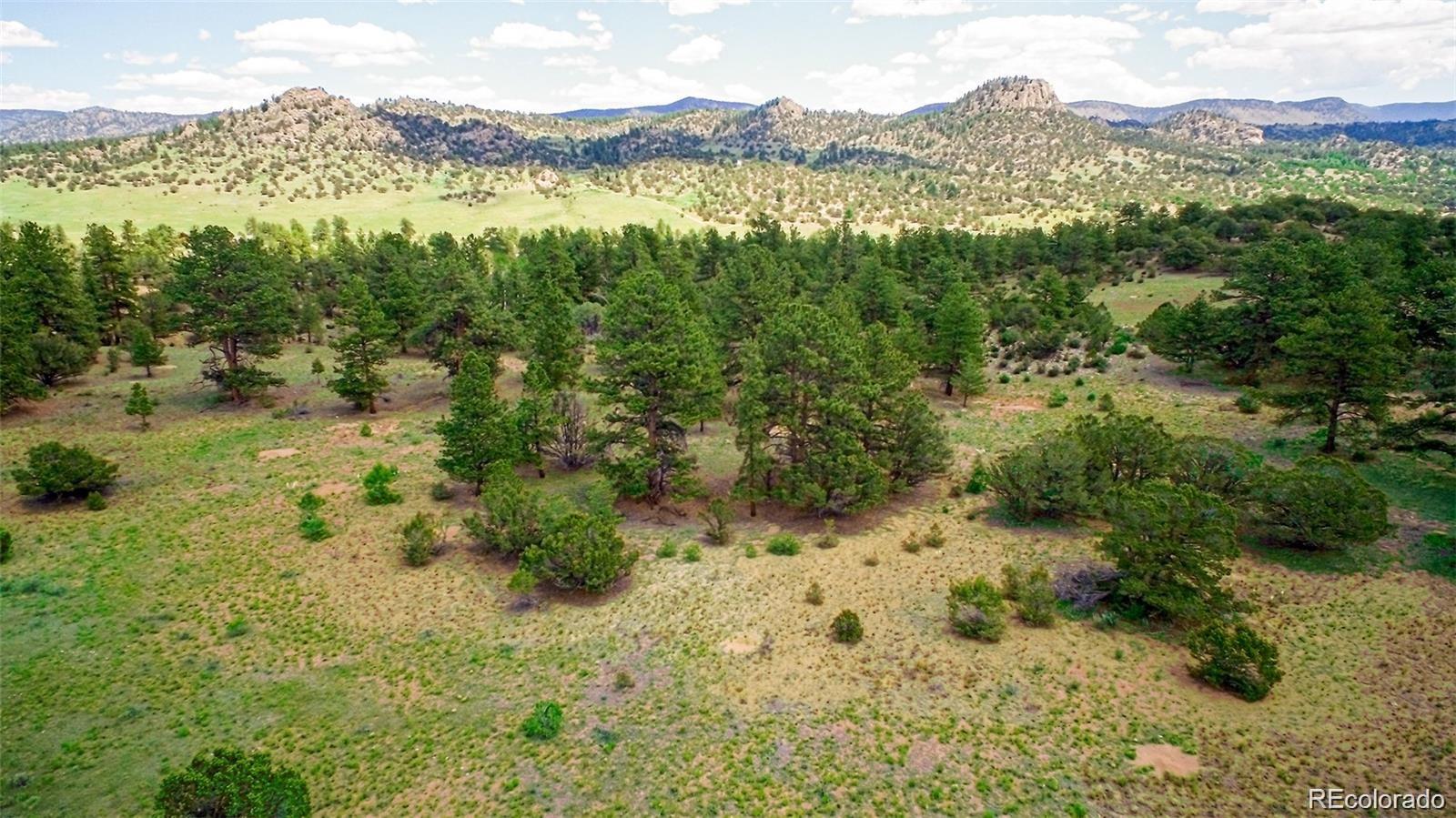 Lot 8 Big Sandy Estaes Buena Vista CO 81211