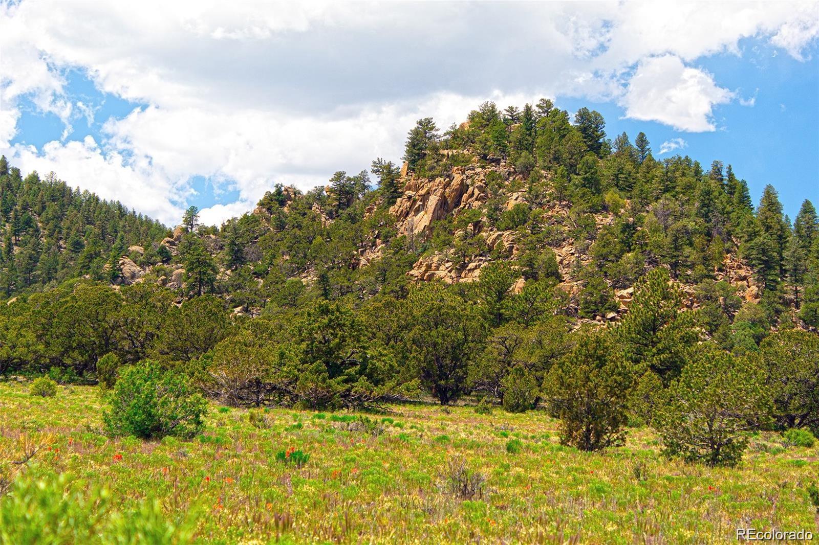 Lot 8 Big Sandy Estaes Buena Vista CO 81211
