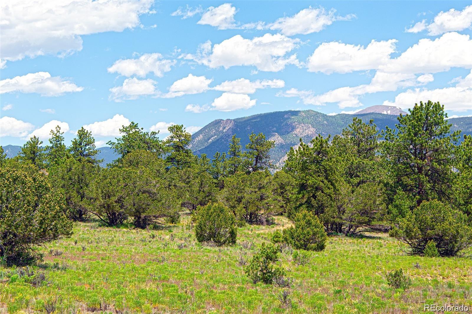 Lot 8 Big Sandy Estaes Buena Vista CO 81211
