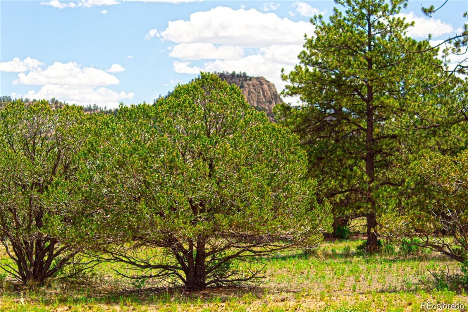 Lot 8 Big Sandy Estaes Buena Vista CO 81211