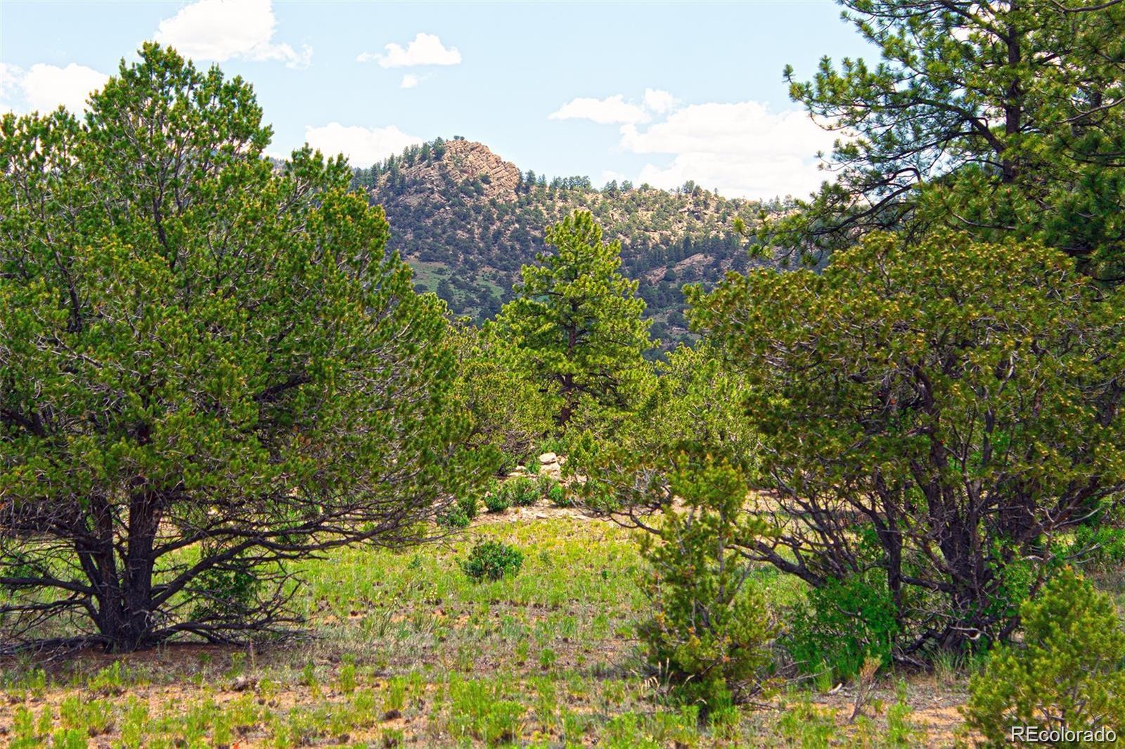 Lot 8 Big Sandy Estaes Buena Vista CO 81211