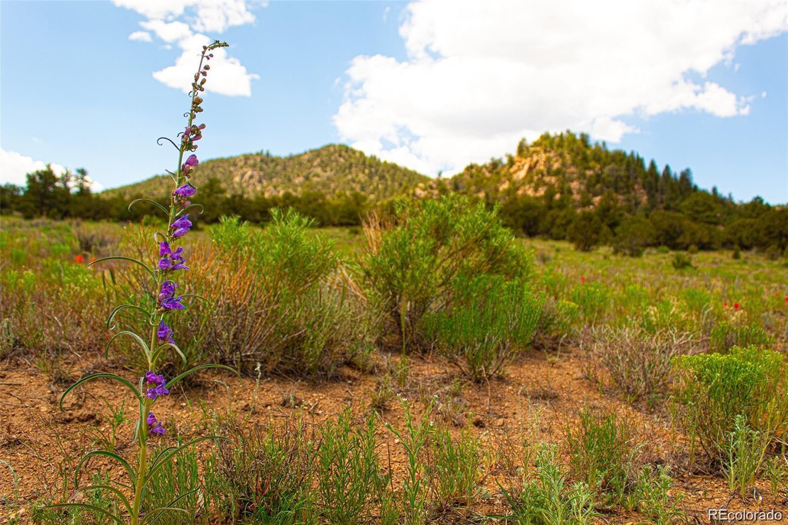 Lot 8 Big Sandy Estaes Buena Vista CO 81211