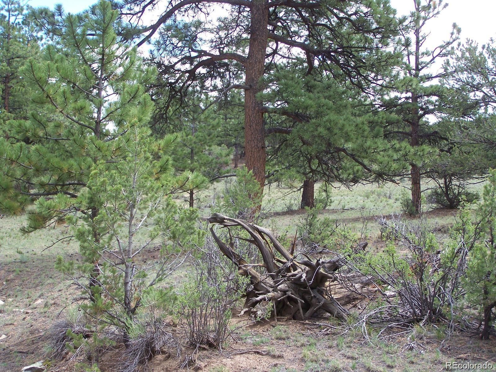 Lot 8 Big Sandy Estaes Buena Vista CO 81211