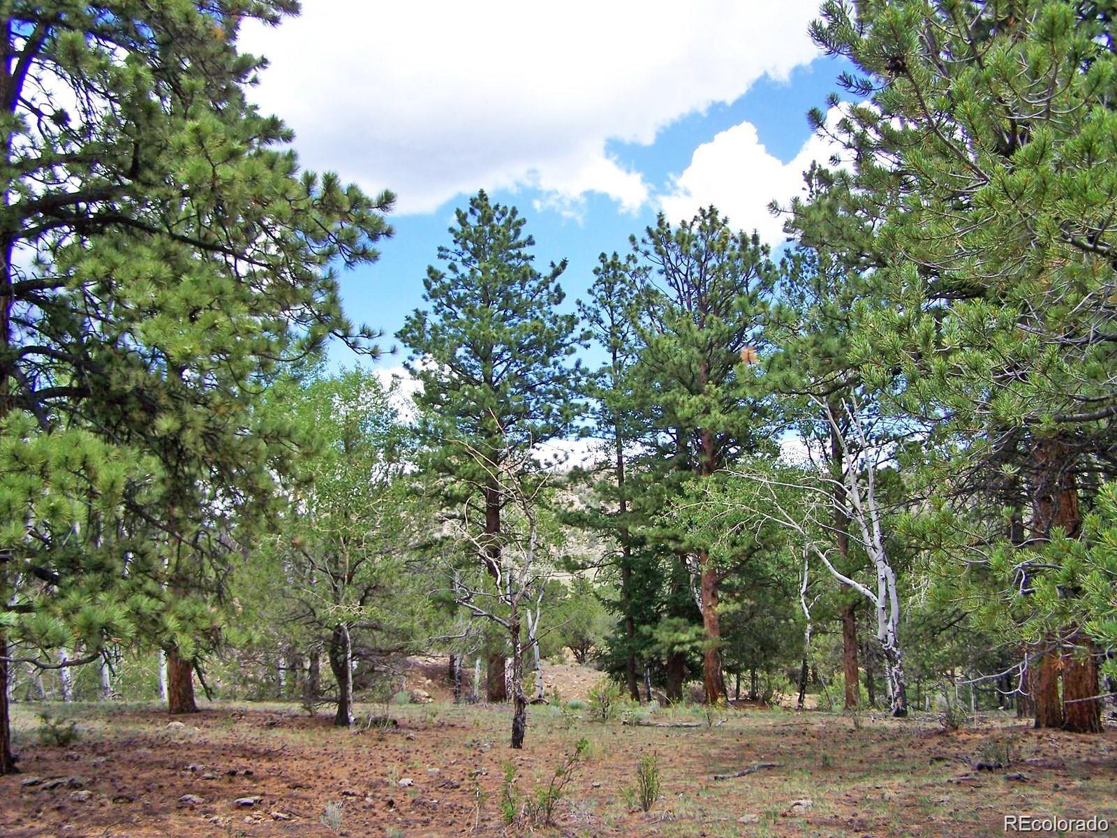 Lot 8 Big Sandy Estaes Buena Vista CO 81211