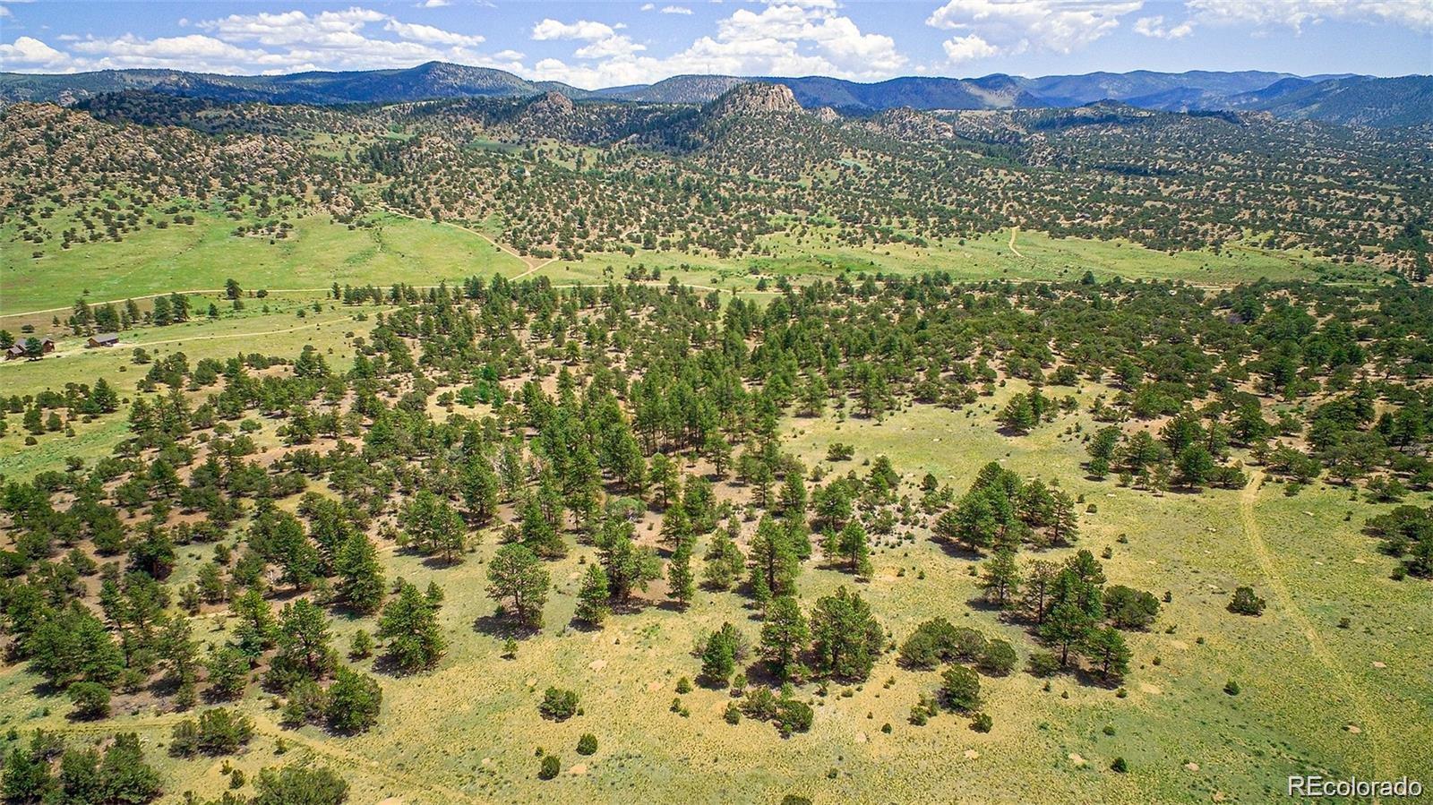 Lot 8 Big Sandy Estaes Buena Vista CO 81211