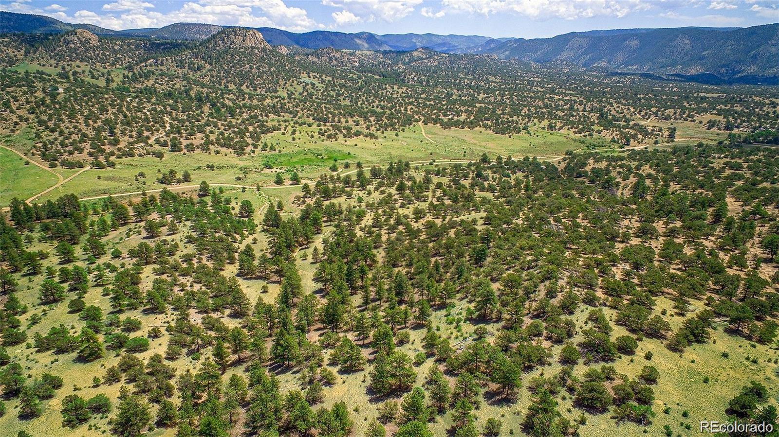 Lot 8 Big Sandy Estaes Buena Vista CO 81211