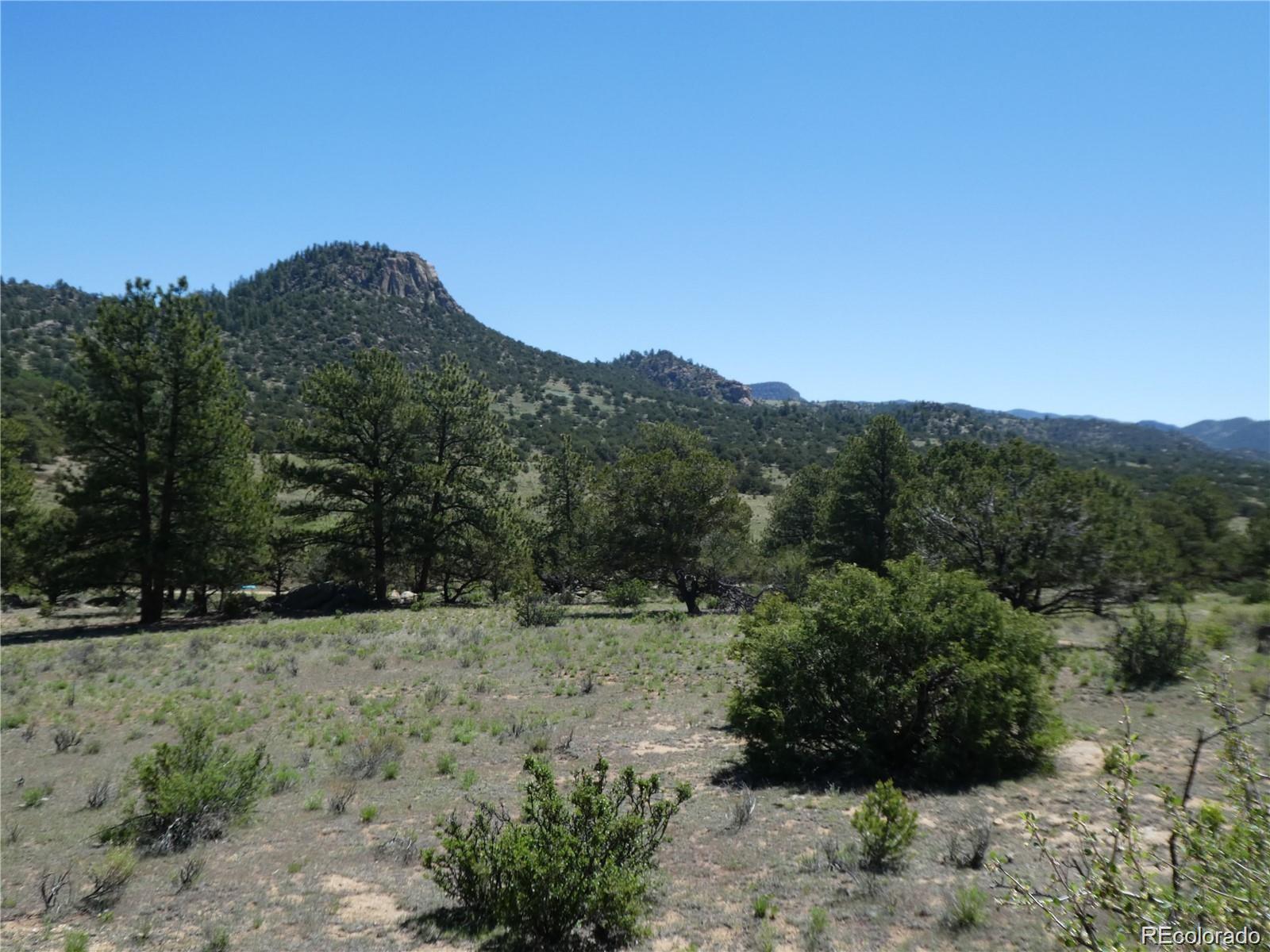 Lot 8 Big Sandy Estaes Buena Vista CO 81211