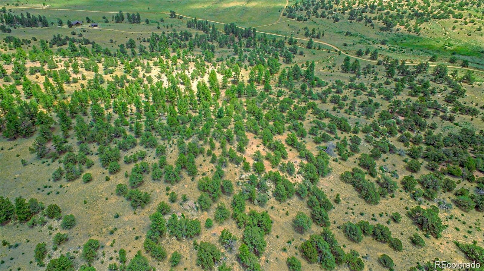 Lot 8 Big Sandy Estaes Buena Vista CO 81211