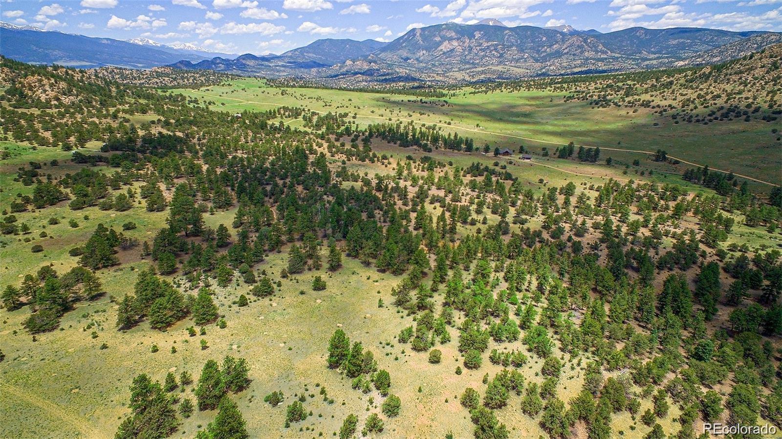 Lot 8 Big Sandy Estaes Buena Vista CO 81211