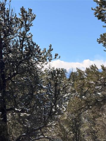 000 41st Trail Cotopaxi CO 81223