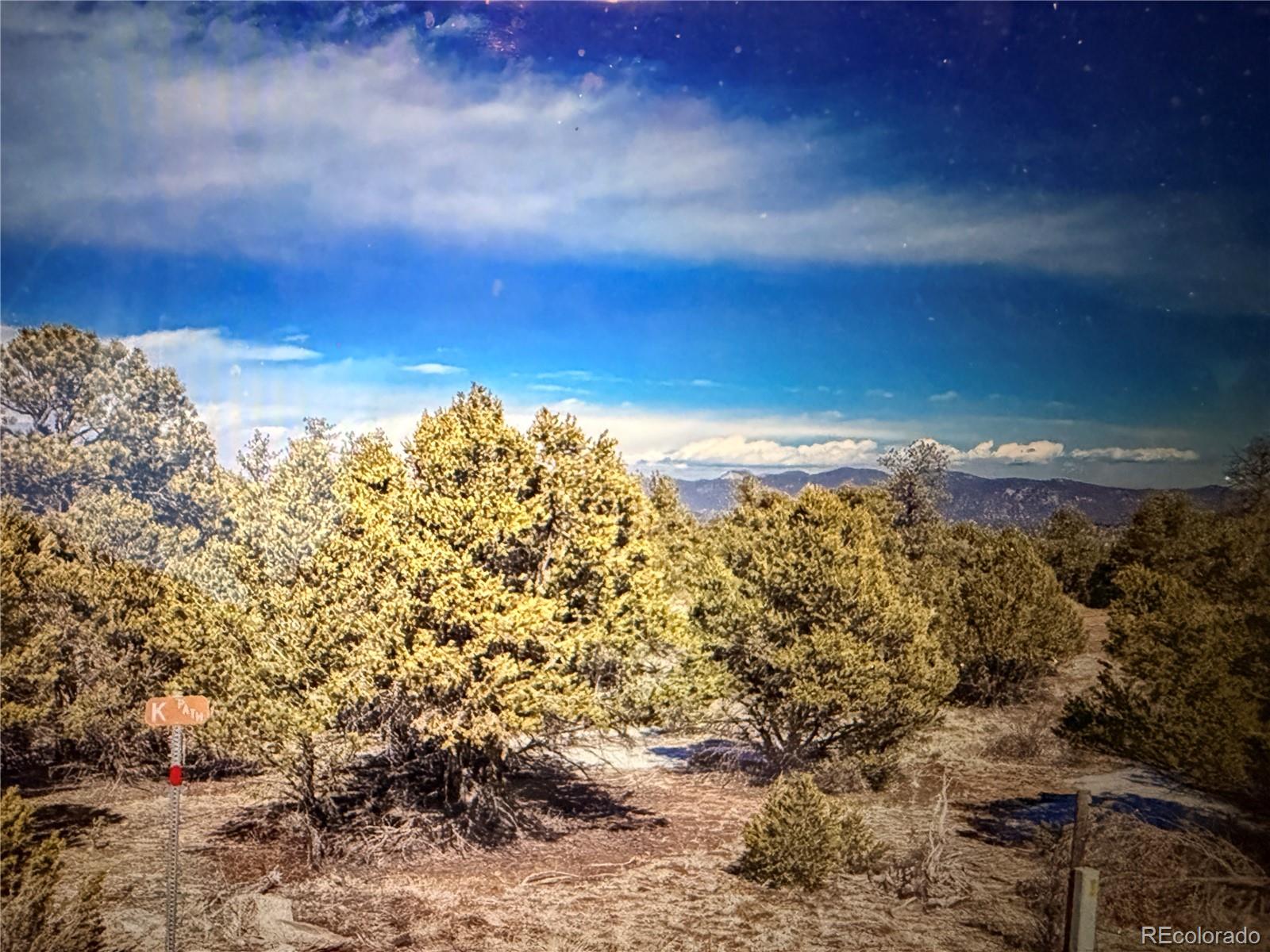 000 41st Trail Cotopaxi CO 81223