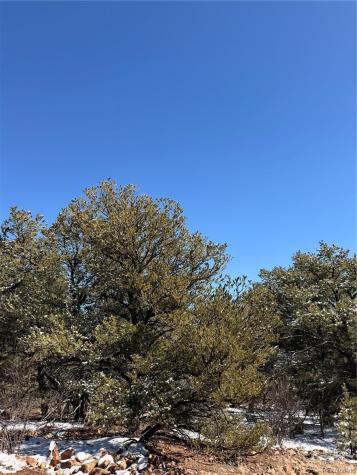 000 41st Trail Cotopaxi CO 81223