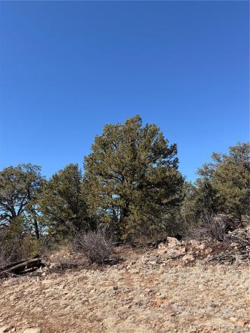 000 41st Trail Cotopaxi CO 81223