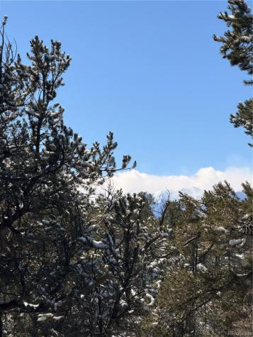 000 41st Trail Cotopaxi CO 81223