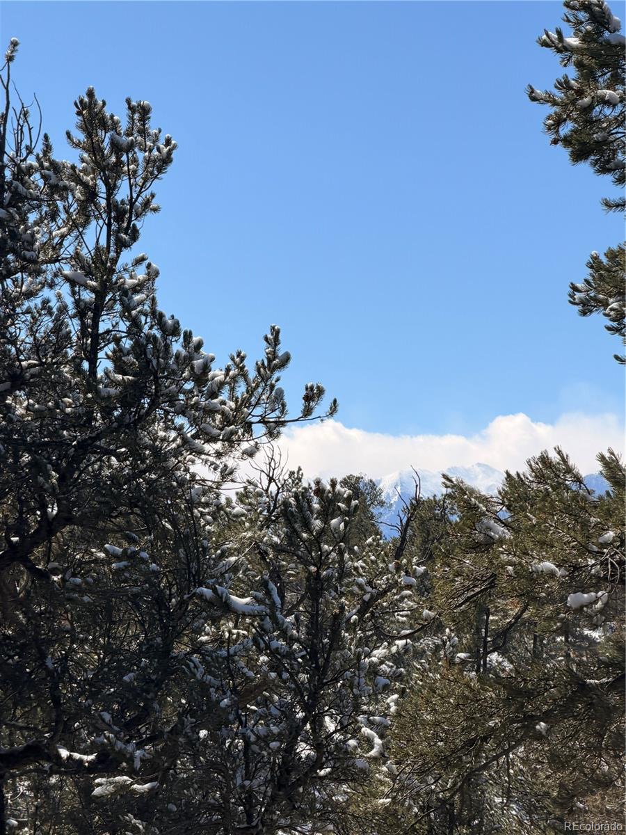 000 41st Trail Cotopaxi CO 81223