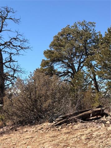 000 41st Trail Cotopaxi CO 81223
