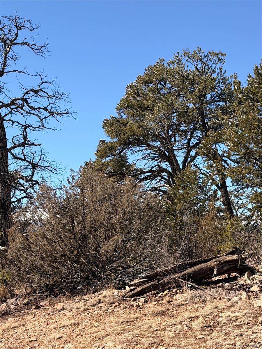 000 41st Trail Cotopaxi CO 81223