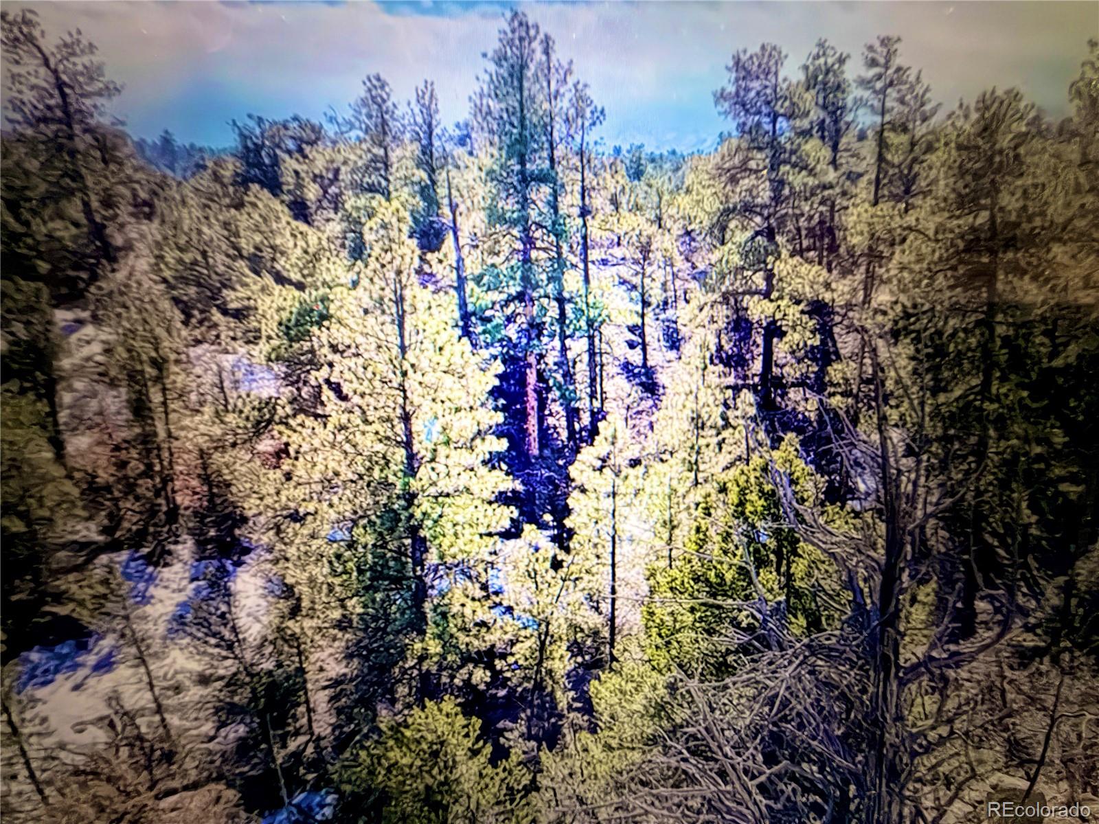 000 41st Trail Cotopaxi CO 81223