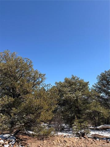 000 41st Trail Cotopaxi CO 81223