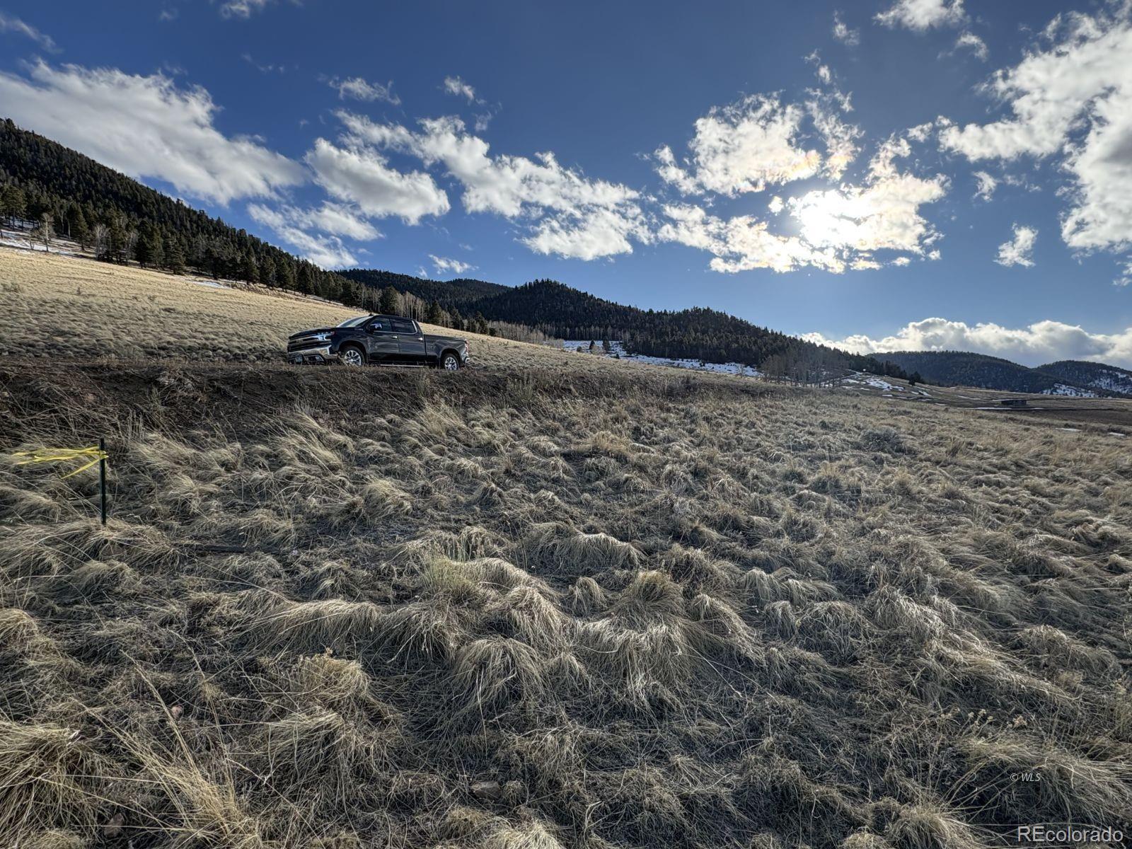 Lot 29 Eagle Springs Road Westcliffe CO 81252