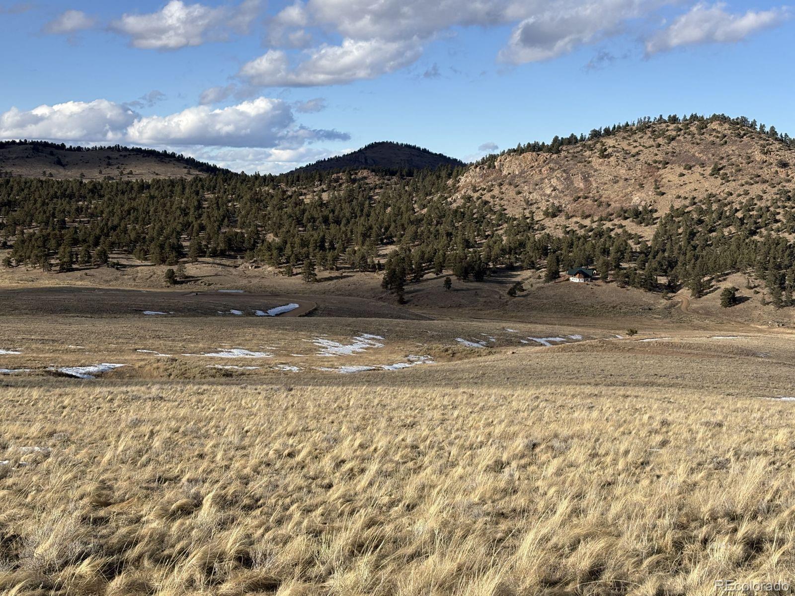 Lot 29 Eagle Springs Road Westcliffe CO 81252